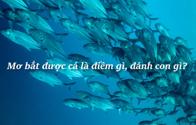 mo bat duoc ca